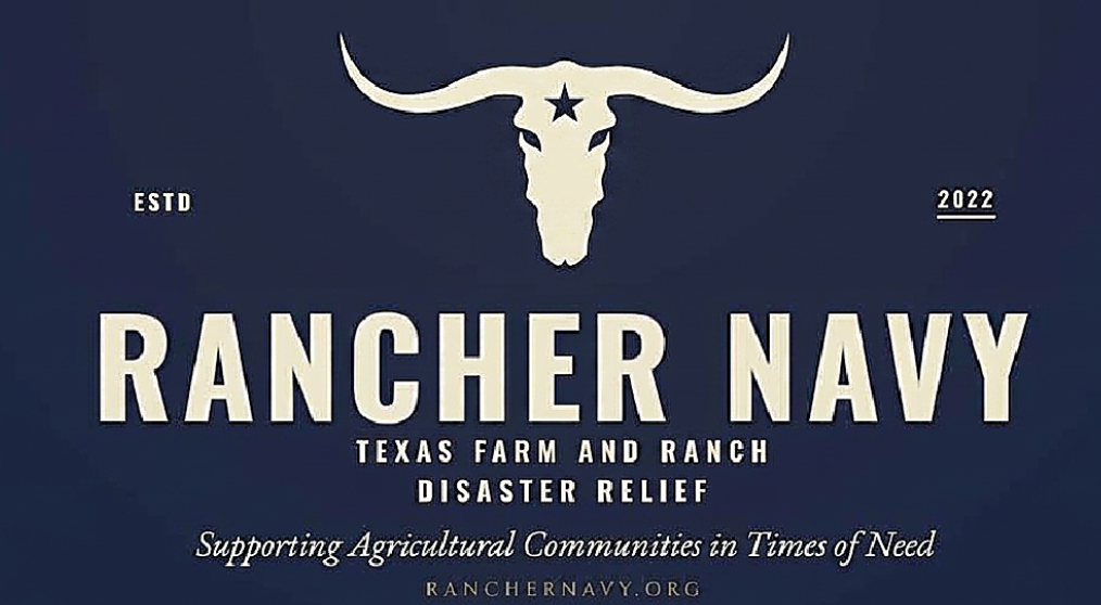 Rancher Navy logo