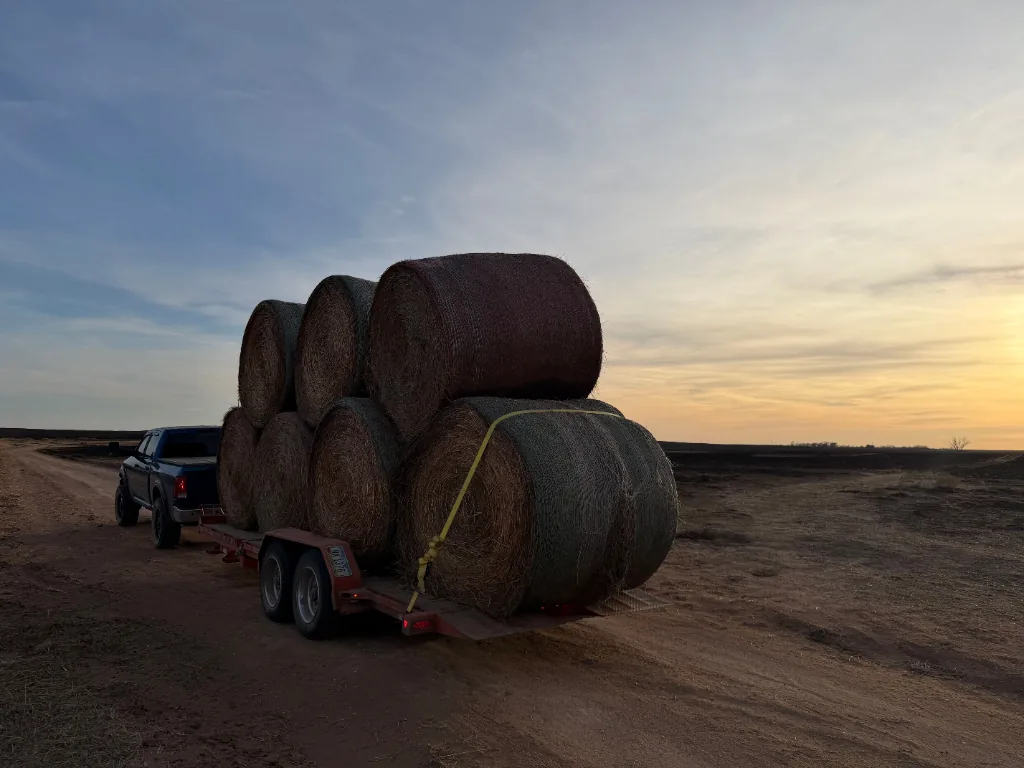 Fuzion delivering hay on February 17, 2026