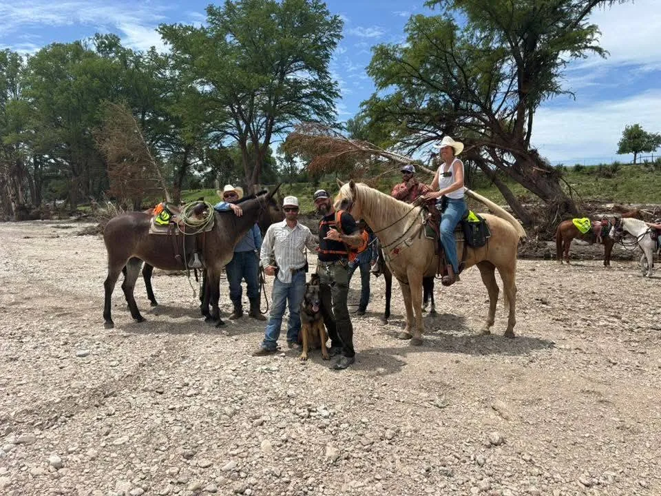Mounted mule support