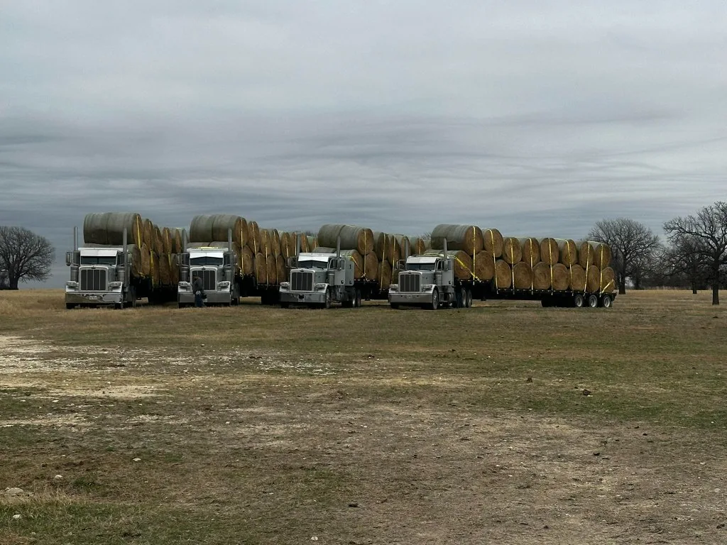 Four loaded tractor trailers